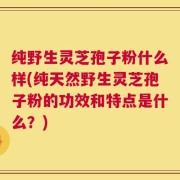 纯野生灵芝孢子粉什么样(纯天然野生灵芝孢子粉的功效和特点是什么？)