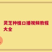 灵芝种植口播视频教程大全