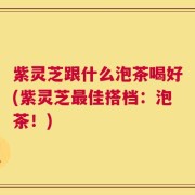 紫灵芝跟什么泡茶喝好(紫灵芝最佳搭档：泡茶！)