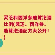 灵芝和西洋参鹿茸泡酒比例(灵芝、西洋参、鹿茸泡酒配方大公开！)