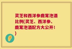 灵芝和西洋参鹿茸泡酒比例(灵芝、西洋参、鹿茸泡酒配方大公开！)