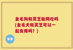 金毛狗和灵芝能同吃吗(金毛犬和灵芝可以一起食用吗？)