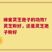 蜂蜜灵芝孢子的功效？灵芝粉好，还是灵芝孢子粉好