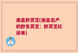 南昌野灵芝(南昌出产的野生灵芝：野灵芝红运来)