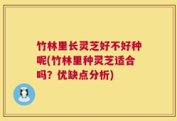 竹林里长灵芝好不好种呢(竹林里种灵芝适合吗？优缺点分析)