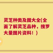 灵芝种类及图大全(全面了解灵芝品种，搜罗大量图片资料！)