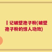 哖记破壁孢子粉(破壁孢子粉的惊人功效)