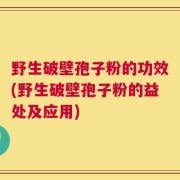 野生破壁孢子粉的功效(野生破壁孢子粉的益处及应用)