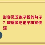 形容灵芝孢子粉的句子？破壁灵芝孢子粉宣传语
