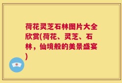 荷花灵芝石林图片大全欣赏(荷花、灵芝、石林，仙境般的美景盛宴)