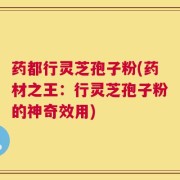 药都行灵芝孢子粉(药材之王：行灵芝孢子粉的神奇效用)