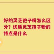 好的灵芝孢子粉怎么区分？优质灵芝孢子粉的特点是什么