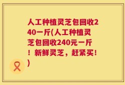 人工种植灵芝包回收240一斤(人工种植灵芝包回收240元一斤！新鲜灵芝，赶紧买！)