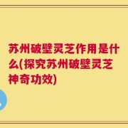 苏州破壁灵芝作用是什么(探究苏州破壁灵芝神奇功效)
