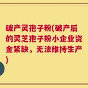 破产灵孢子粉(破产后的灵芝孢子粉小企业资金紧缺，无法维持生产)