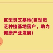 巨型灵芝基地(巨型灵芝种植基地落户，助力健康产业发展)