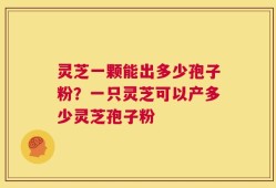灵芝一颗能出多少孢子粉？一只灵芝可以产多少灵芝孢子粉