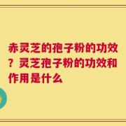 赤灵芝的孢子粉的功效？灵芝孢子粉的功效和作用是什么