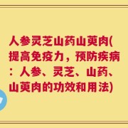 人参灵芝山药山萸肉(提高免疫力，预防疾病：人参、灵芝、山药、山萸肉的功效和用法)
