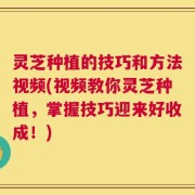 灵芝种植的技巧和方法视频(视频教你灵芝种植，掌握技巧迎来好收成！)