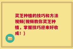 灵芝种植的技巧和方法视频(视频教你灵芝种植，掌握技巧迎来好收成！)
