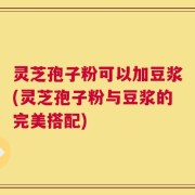 灵芝孢子粉可以加豆浆(灵芝孢子粉与豆浆的完美搭配)