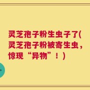 灵芝孢子粉生虫子了(灵芝孢子粉被寄生虫，惊现“异物”！)