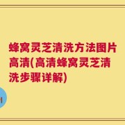 蜂窝灵芝清洗方法图片高清(高清蜂窝灵芝清洗步骤详解)