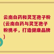 云南白药和灵芝孢子粉(云南白药与灵芝孢子粉携手，打造健康品牌)