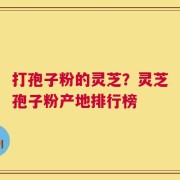 打孢子粉的灵芝？灵芝孢子粉产地排行榜