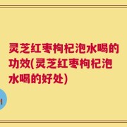 灵芝红枣枸杞泡水喝的功效(灵芝红枣枸杞泡水喝的好处)