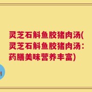 灵芝石斛鱼胶猪肉汤(灵芝石斛鱼胶猪肉汤：药膳美味营养丰富)