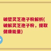 破壁灵芝孢子粉解析(破解灵芝孢子粉，提取健康能量)