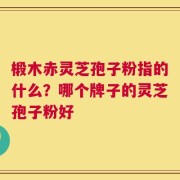 椴木赤灵芝孢子粉指的什么？哪个牌子的灵芝孢子粉好
