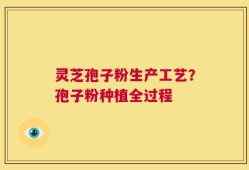 灵芝孢子粉生产工艺？孢子粉种植全过程