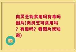 肉灵芝能食用吗有毒吗图片(肉灵芝可食用吗？有毒吗？看图片就知道)