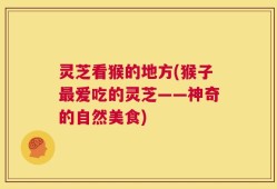 灵芝看猴的地方(猴子最爱吃的灵芝——神奇的自然美食)
