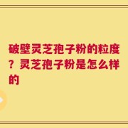 破壁灵芝孢子粉的粒度？灵芝孢子粉是怎么样的