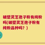 破壁灵芝孢子粉有纯粉吗(破壁灵芝孢子粉有纯粉品种吗？)