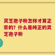 灵芝孢子粉怎样才算正宗的？什么是纯正的灵芝孢子粉