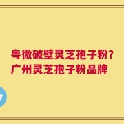 粤微破壁灵芝孢子粉？广州灵芝孢子粉品牌