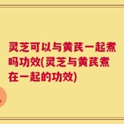 灵芝可以与黄芪一起煮吗功效(灵芝与黄芪煮在一起的功效)
