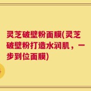 灵芝破壁粉面膜(灵芝破壁粉打造水润肌，一步到位面膜)