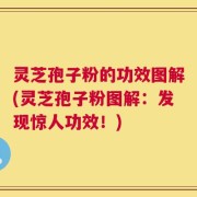 灵芝孢子粉的功效图解(灵芝孢子粉图解：发现惊人功效！)