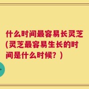什么时间最容易长灵芝(灵芝最容易生长的时间是什么时候？)
