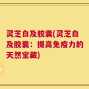 灵芝白及胶囊(灵芝白及胶囊：提高免疫力的天然宝藏)
