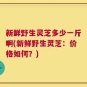 新鲜野生灵芝多少一斤啊(新鲜野生灵芝：价格如何？)