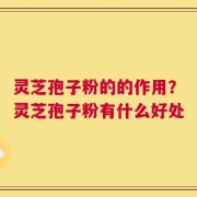 灵芝孢子粉的的作用？灵芝孢子粉有什么好处