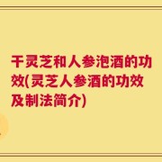干灵芝和人参泡酒的功效(灵芝人参酒的功效及制法简介)
