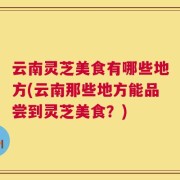 云南灵芝美食有哪些地方(云南那些地方能品尝到灵芝美食？)
